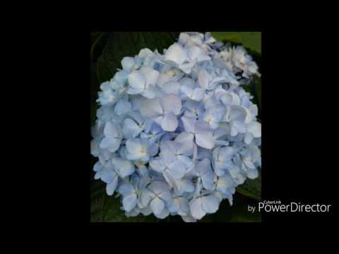 歐得洋＆蔡淳佳 - 小夫妻