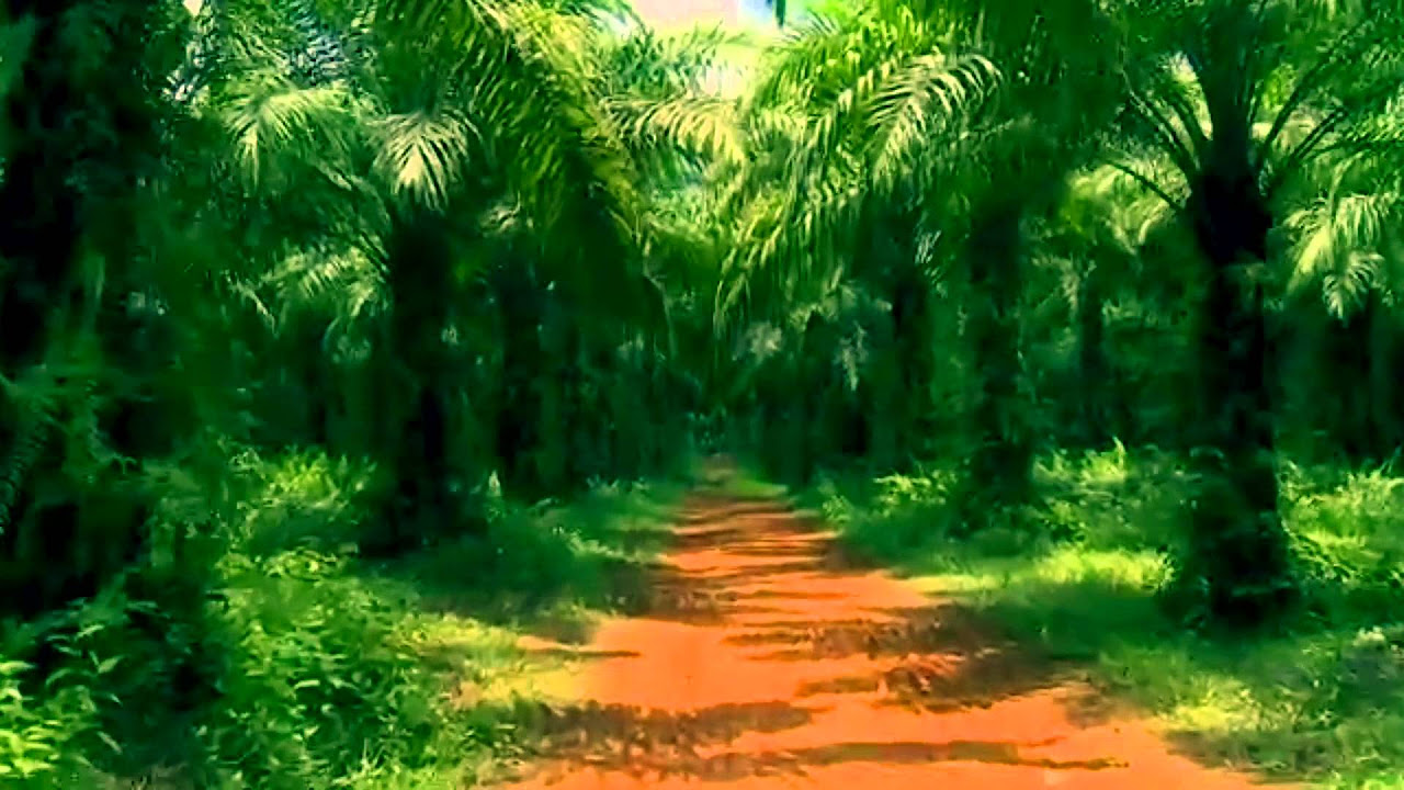 The Cure A Forest Extended Version 