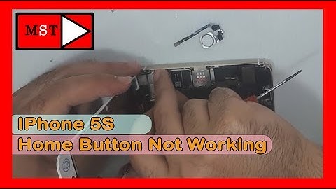 IPhone 5S Home Button Not Working