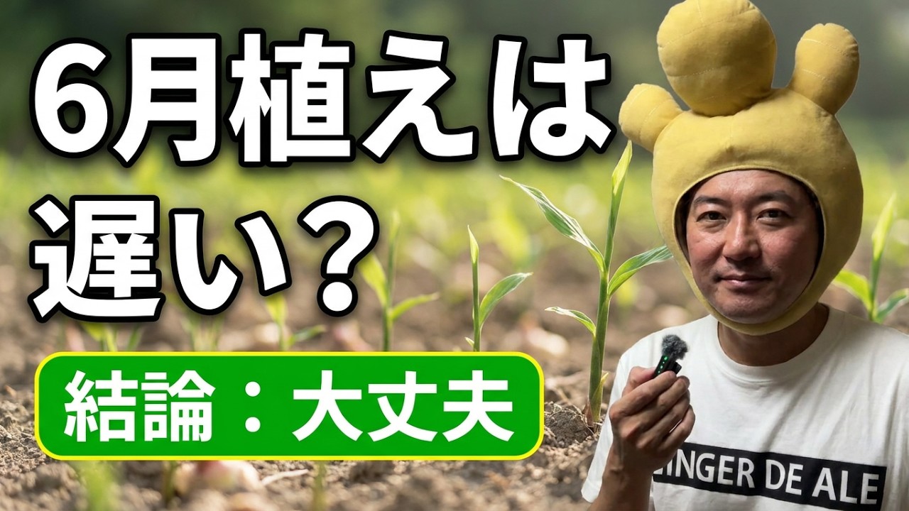Is It Okay to Plant Ginger in June? A Specialist Explains Why