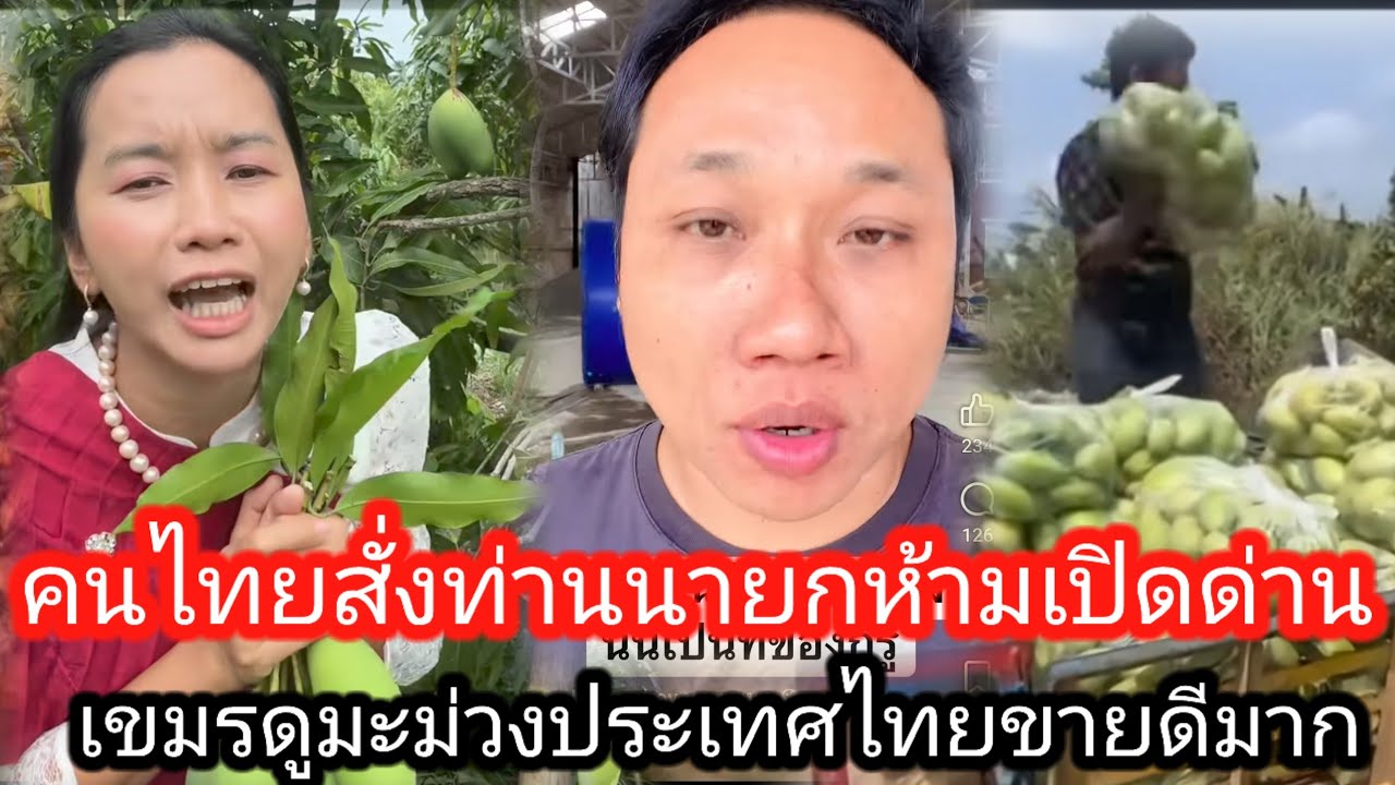 เขมรขายมะม่วงไม่ได้