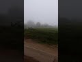 امطار خير على قرية يمبو امطار خير على قرية يمبو