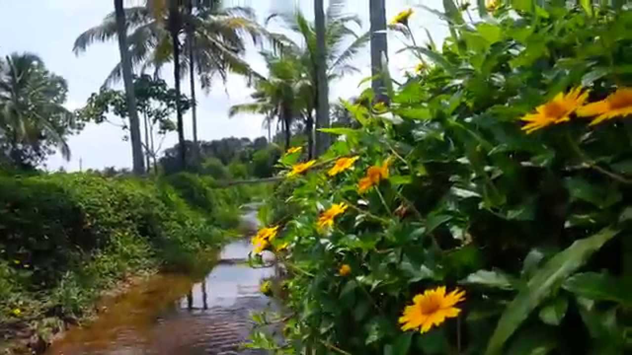 Land of Beauty Syam Nooranad YouTube