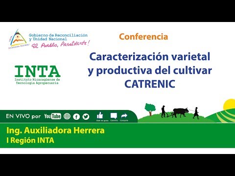 #INTA Caracterización varietal y productiva del cultivar CATRENIC