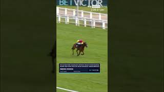 Neon Moon Jack Tudor Newbury Racecourse