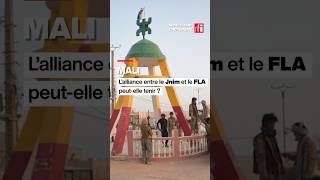 Mali : l’alliance entre le Jnim et le FLA peut-elle tenir ? • RFI #mali