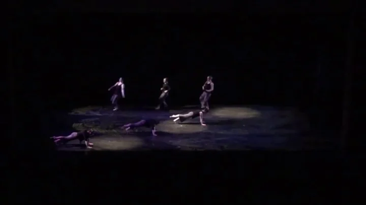 Elizabeth Cozad 2014-2017 Excerpts
