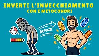 Repair Your Mitochondria to Reverse Aging (Step-by-Step Protocol)