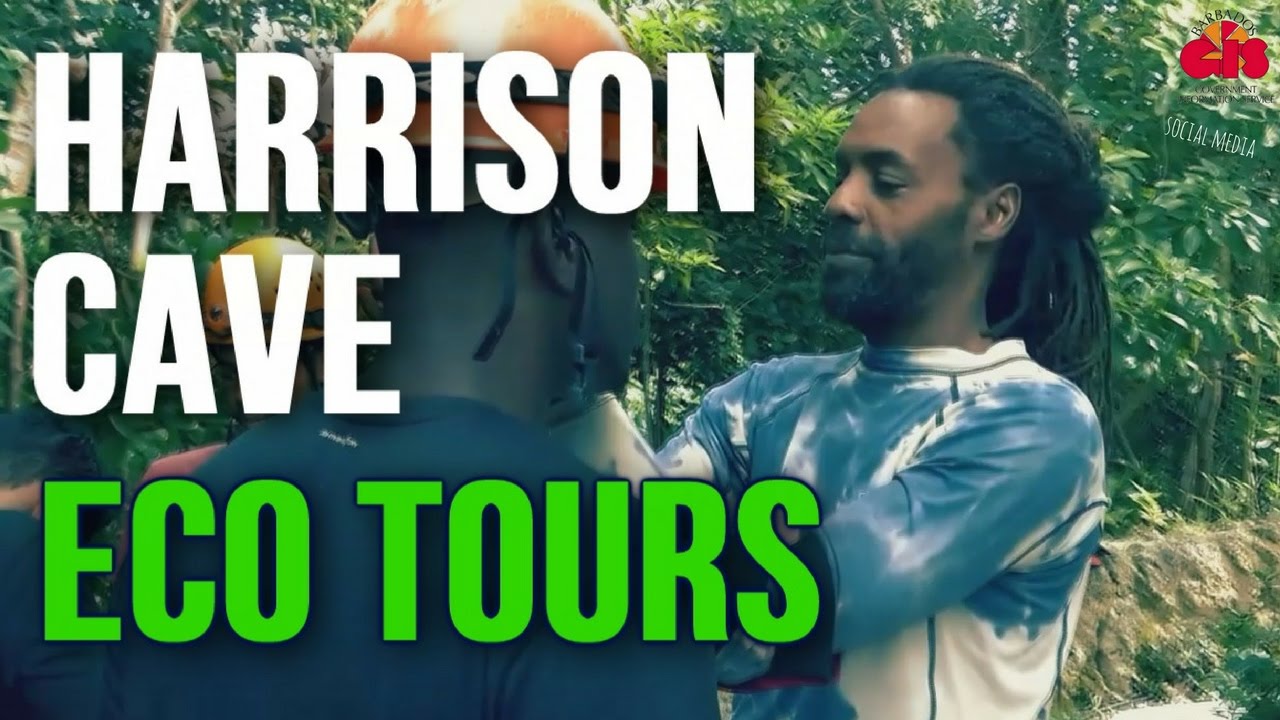 BGIS Social Media Presents Harrison Cave Eco Tours YouTube