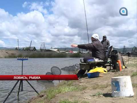 Ловись, рыбка