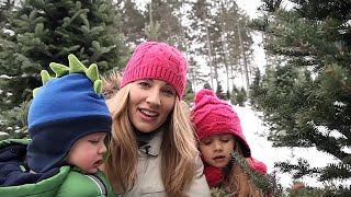 Find Local Christmas Trees With Minnesota Grown