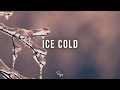 "Ice Cold" - Storytelling Rap Beat | Free Hip Hop Instrumental 2024 | Purple Flame #Instrumentals