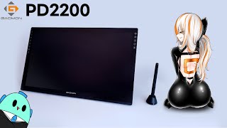 타블렛 리뷰와 모에화│ GAOMON 가오몬 PD2200