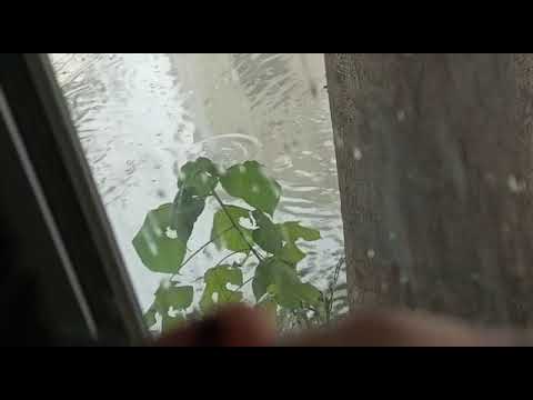 Rain water ripples intersecting beautifully.