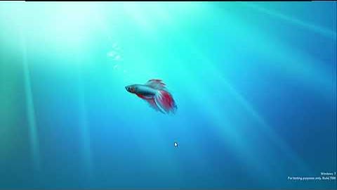 Windows 7 Build 7000