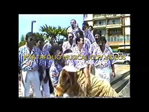 Cardenales del Exito - El Burro (Videoclip) @Gaitaszulianas-pc9zy