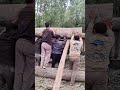 Lumber Loading: How Teamwork Moves Trees to Trucks