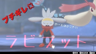 ラビフット Youtube