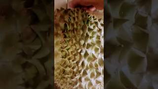 The King of Fruits #asmr #shorts #durian #philippines #indonesia #india #youtubeshorts #viral