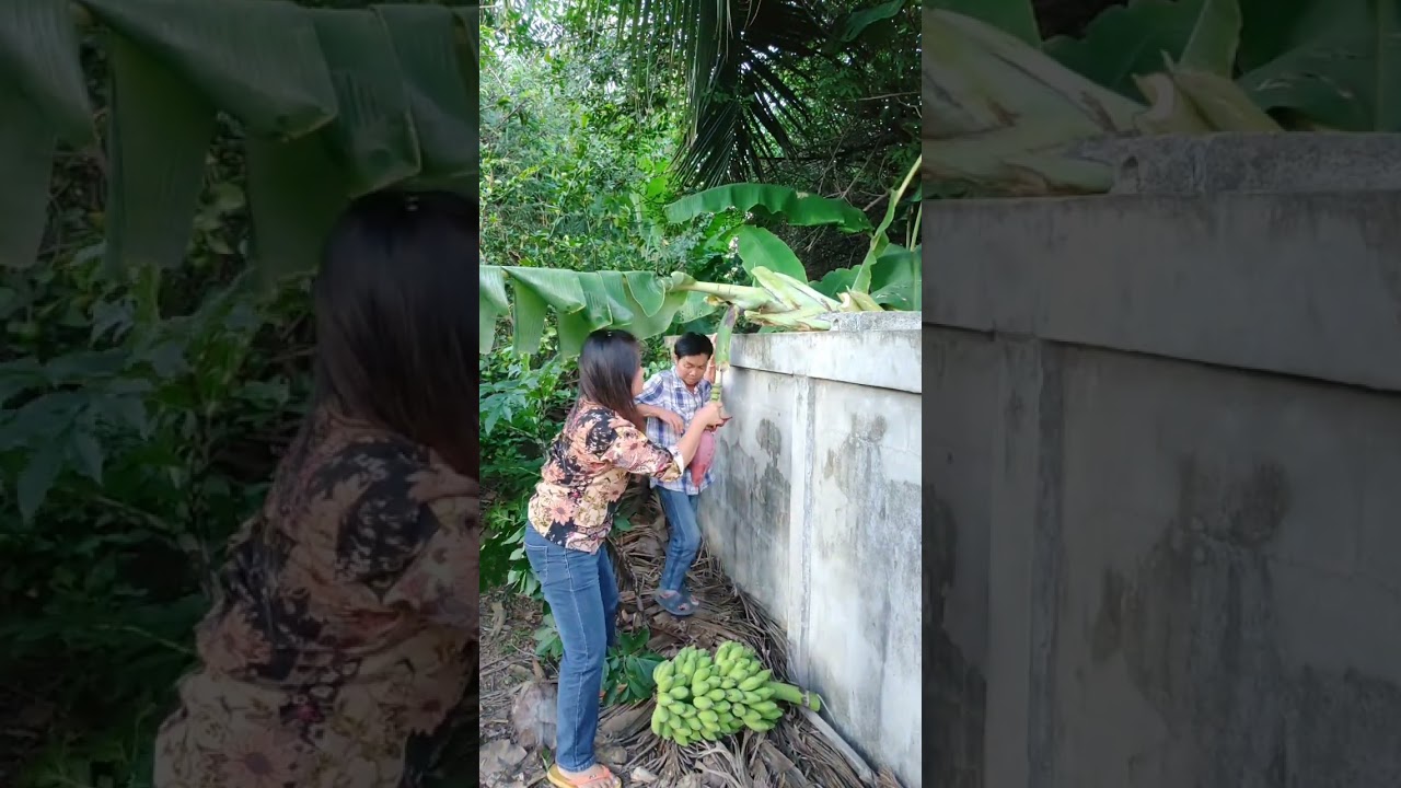คลิปตลก ขำขัน สนุก คลายเครียด