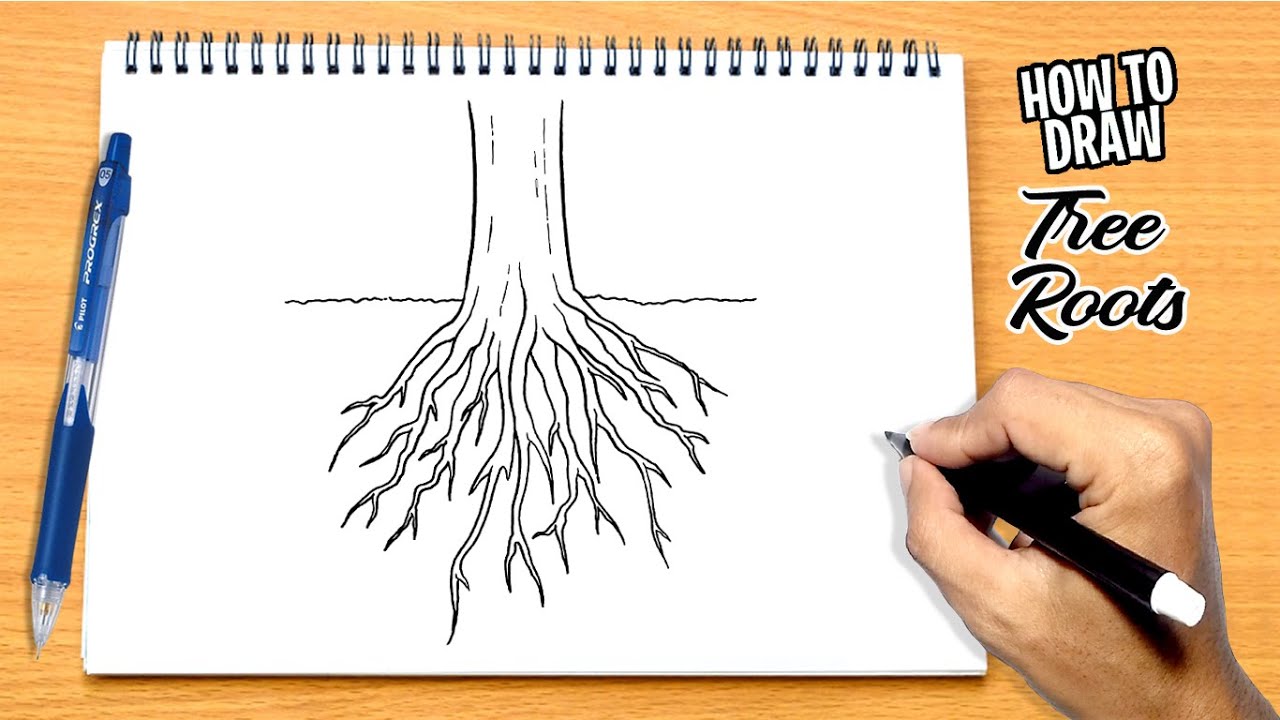 How to Draw a Dead Tree - Really Easy Drawing Tutorial