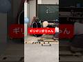【ギリギリ赤ちゃん】　#funny #japan #game #今日ほむ #ボビー #赤ちゃん #馬 #comedy