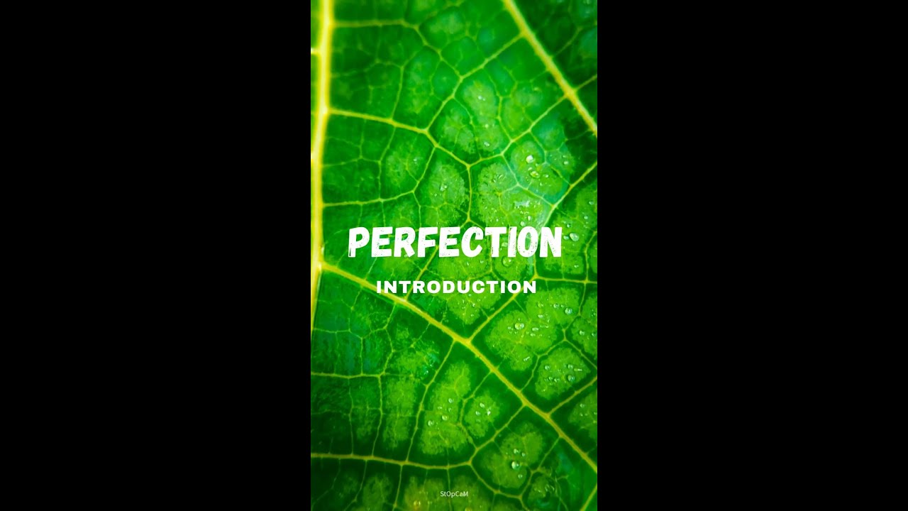 Creative Photography Videography Perfection introduction | Home photography 🔥 | 