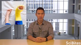 NIH SciBites: Boosting Bone Repair Through Stem Cell Science