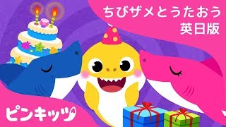 ちびザメのたんじょうび | サメのかぞく | ちびザメとうたおう英日版 | どうぶつのうた | ピンキッツ童謡