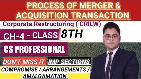 MERGER OR AMALGAMATION OF CERTAIN COMPANIES  CLS-8TH/CH- 4 /CS PROFESSIONAL/ CORPORATE RESTRUCTURING