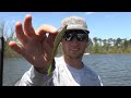 Fletcher's D-Shad Basics