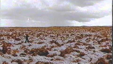 Anton Corbijn leikstýrði Þóri Steingrímssyni í myndbandi Banderas hér á landi.