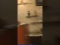 فاس سنة 1994 Morocco fez city