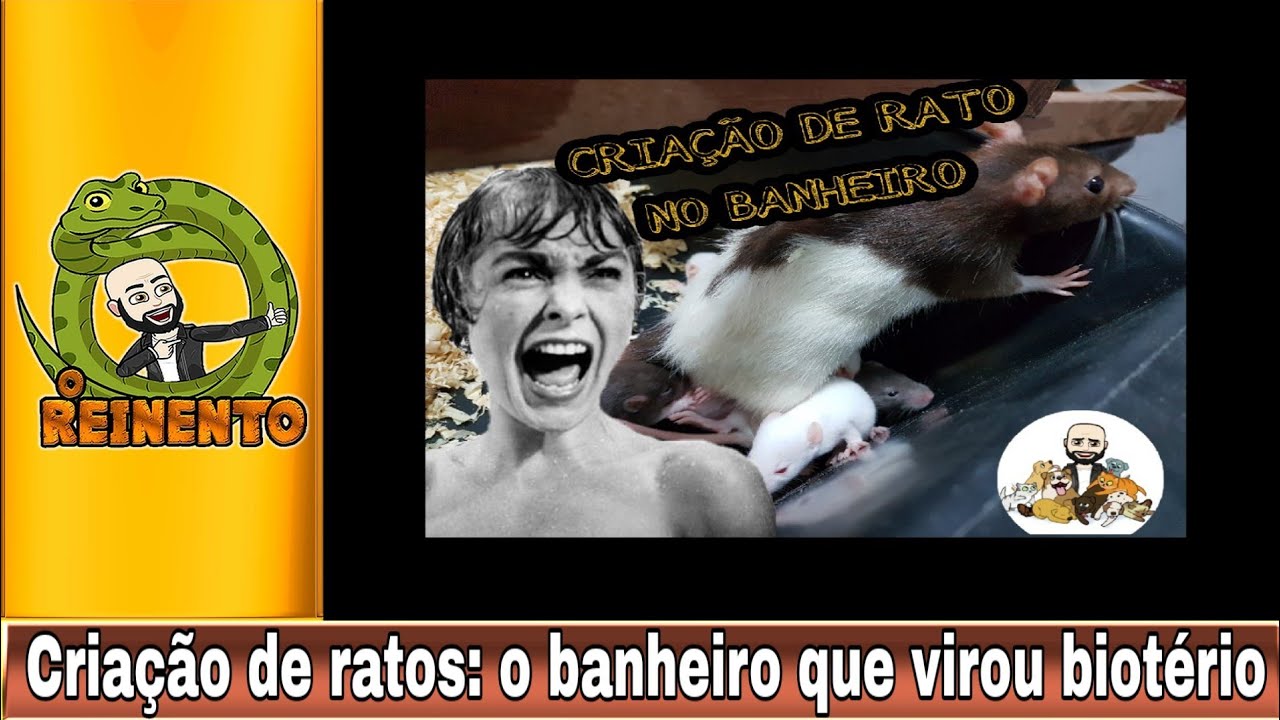 petco hours CRIAÇÃO DE RATOS... O banheiro virou biotério