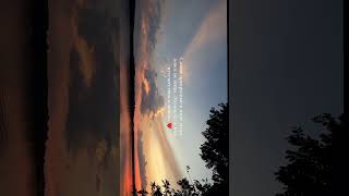 Самое точное определение прекрасных вещей 😻