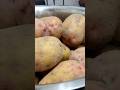 How To Store Potatoes Without Foil To Last From Year To Year My Diary With My Life Umm Ahmed