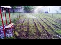 Testing Our Sprinklers on the Community Garden