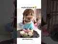 mujhe sona Psnd hai 😴#dog #trending #dogmemes #cute