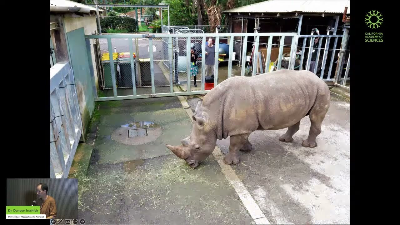 Creating Lifelike 3D animal models with scanning and software approaches - Dr. Duncan Irschick