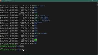 Linux directory structure || EP-4 Wealth