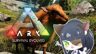 【管理人部Ark】ちょこみんとふぁーむ【ケモノ系Vtuber　】