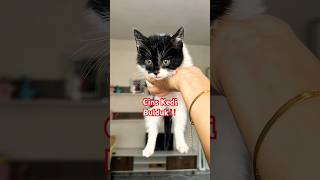 Si Olsaydınız Kabul Edermiydiniz⁉️ Resimi