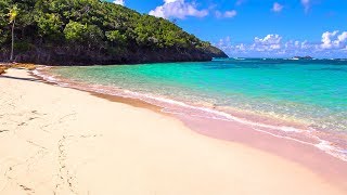 Softest Beach Sounds from the Tropics - Ocean Wave Sounds for Sleeping, Yoga, Meditation, Study