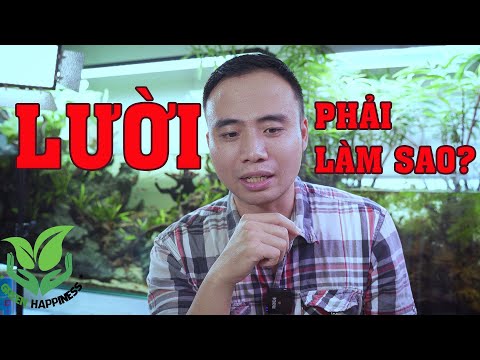 5 nguyên tắc chơi Thủy Sinh dành cho người "LƯỜI"