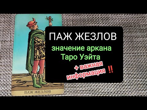 ПАЖ ЖЕЗЛОВ/ЗНАЧЕНИЕ АРКАНА ТАРО УЭЙТА