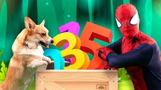 Learn Colors and Numbers With Happy Dog