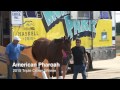 American Pharoah Arrives at Monmouth Park