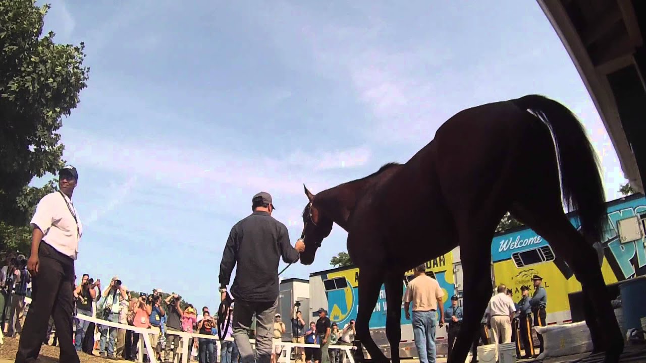 kentucky derby winner 2019 American Pharoah Arrives at Monmouth Park