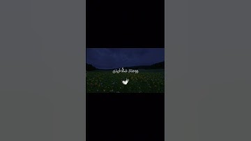 سورة الضحى #حسين_سالم #اكسبلور #القران_الكريم #fyp #foryou