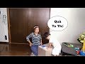 🇯🇵Sa Khui Thùng Quà Papa Mua Cho - Quà Gì Đây Quà Gì Đây??? #6